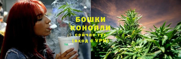 мяу мяу мука Дмитров
