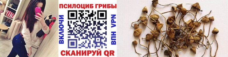 Купить где  Карабулак  Галлюциногенные грибы мухоморы 